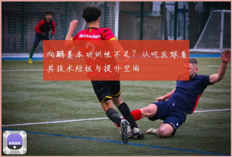 向鹏基本功训练不足？从吃发球看其技术短板与提升空间