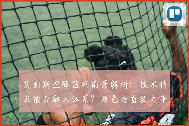 艾利斯空降篮网前景解析:技术特点能否融入体系?角色与首发之争