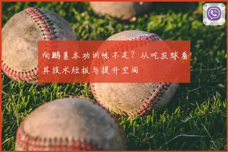 向鹏基本功训练不足？从吃发球看其技术短板与提升空间