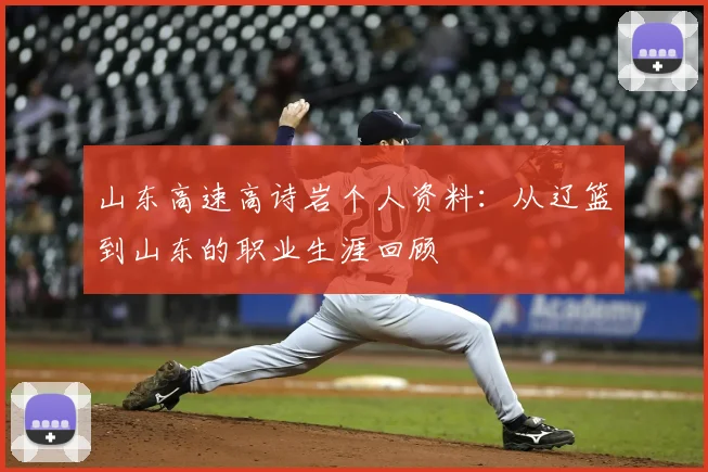 山东高速高诗岩个人资料：从辽篮到山东的职业生涯回顾